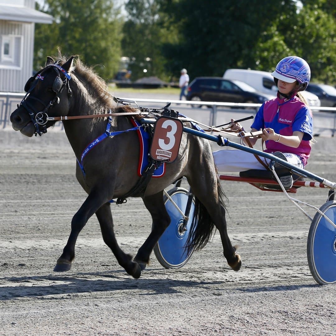 Bild 1 av Mellanbyns Nahar