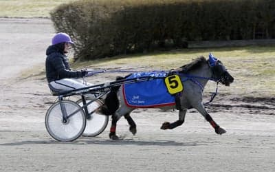 Inlägg 1 av Trav med titeln Ponnytrav 