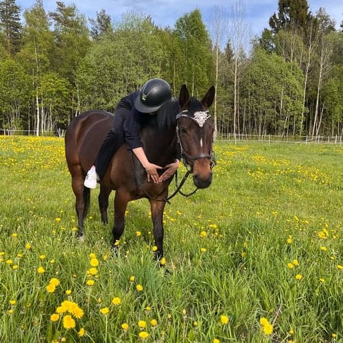 Profilbild av Alice Dahlström