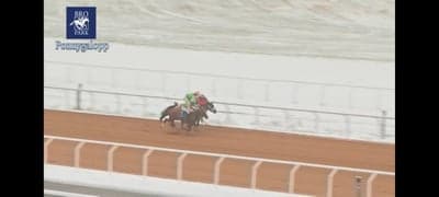 Inlägg 46 av Galopp med titeln Bro Park