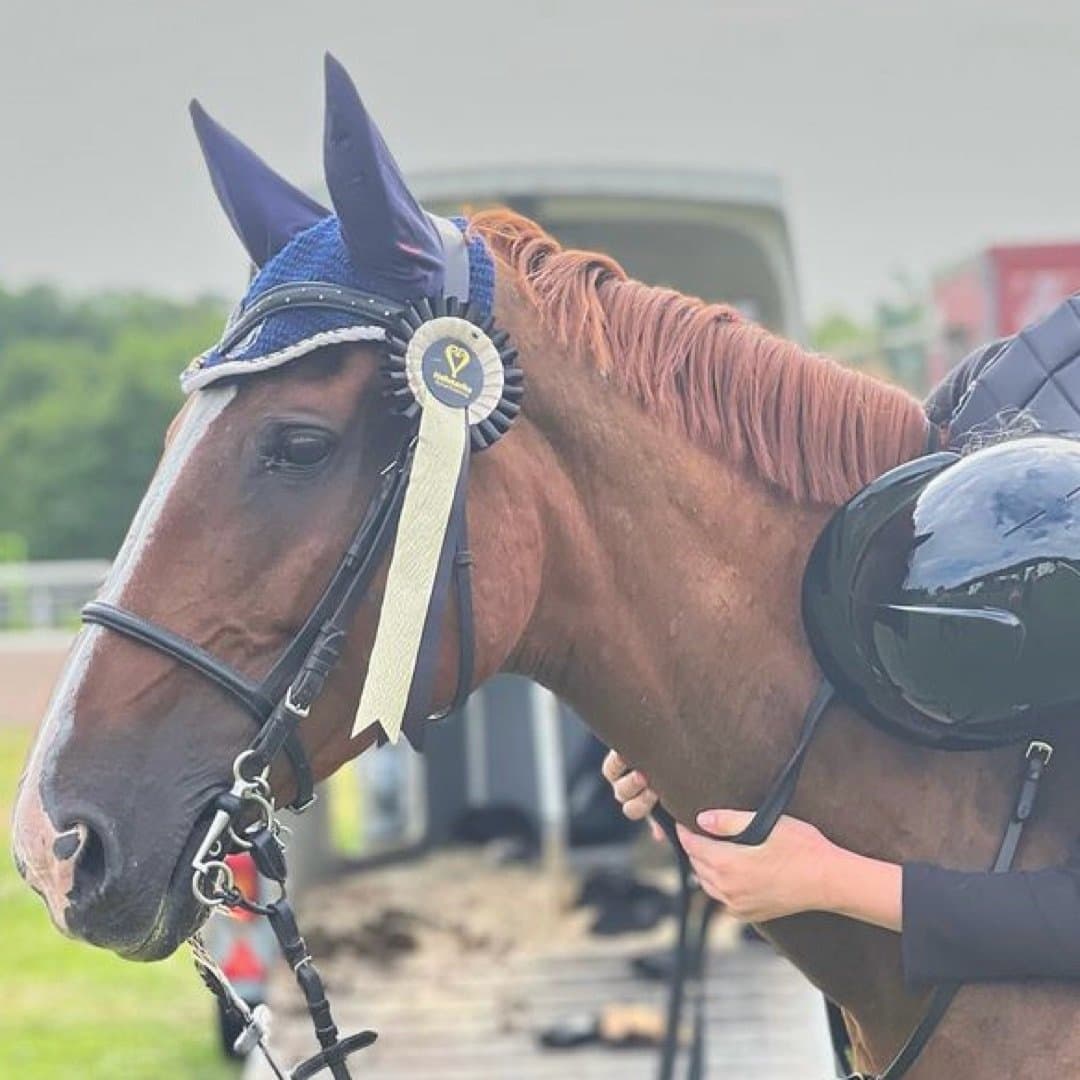 Bild 1 av Zhoraia Flyer