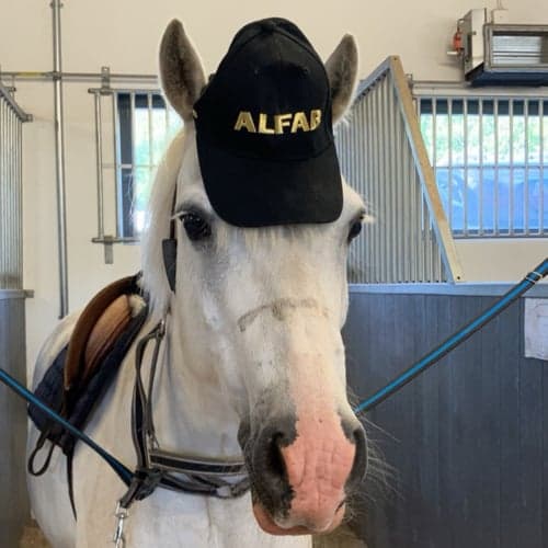 Profilbild av Alice L