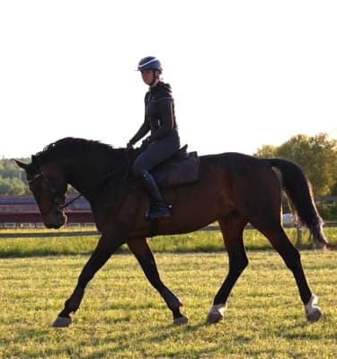Image 1 of Chesterfield CAKE