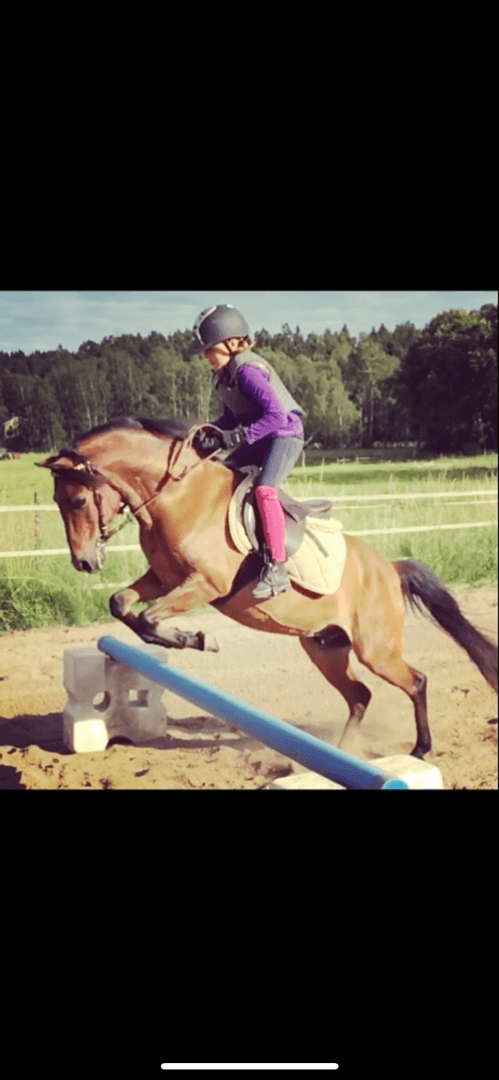 Bild 1 av placeholder text