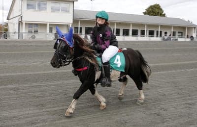 Inlägg 24 av Monté med titeln DPK’s ponnytravgala 