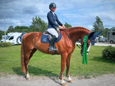 Inlägg 21 av Dressyr