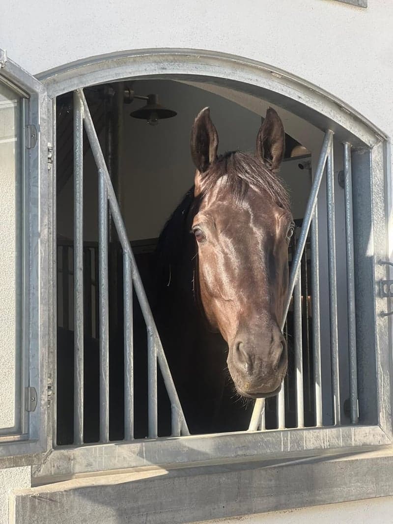 Bild 3 av Django Unchained Z