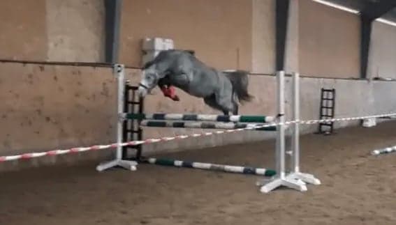 Media 5 av Bjärbys Bläs