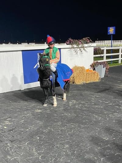 Inlägg 99 av Galopp med titeln Bästa Hercules🥇