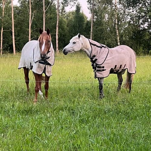 Profilbild av Christoffer Carlsson