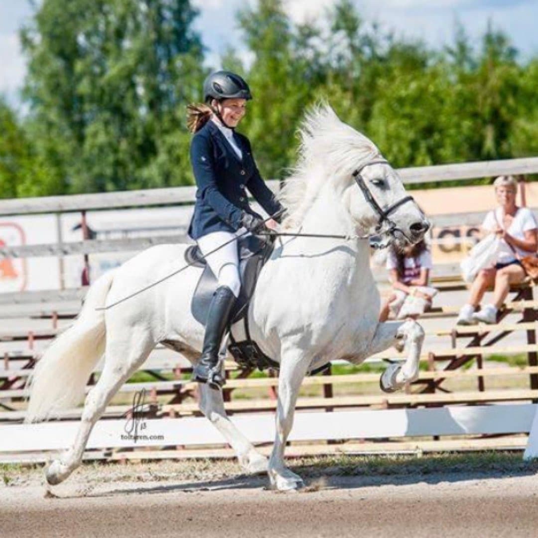 Bild 1 av Snævarr frá hvammi