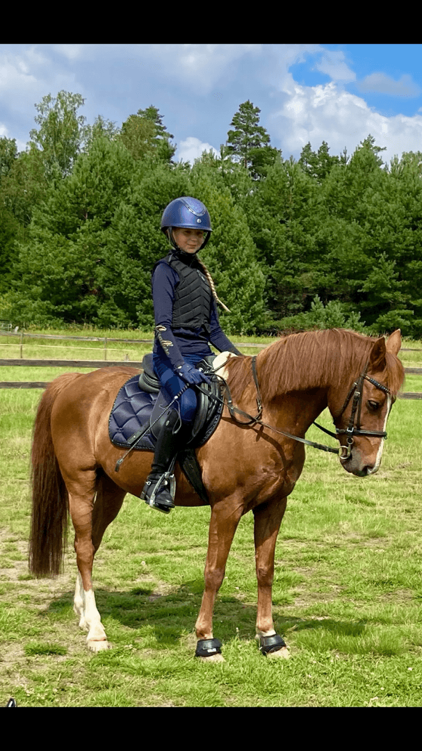 Image 1 of Läromästare 