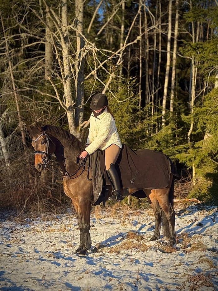 Media 1 av Disaronno