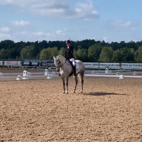 Profilbild av Josefine Hansson