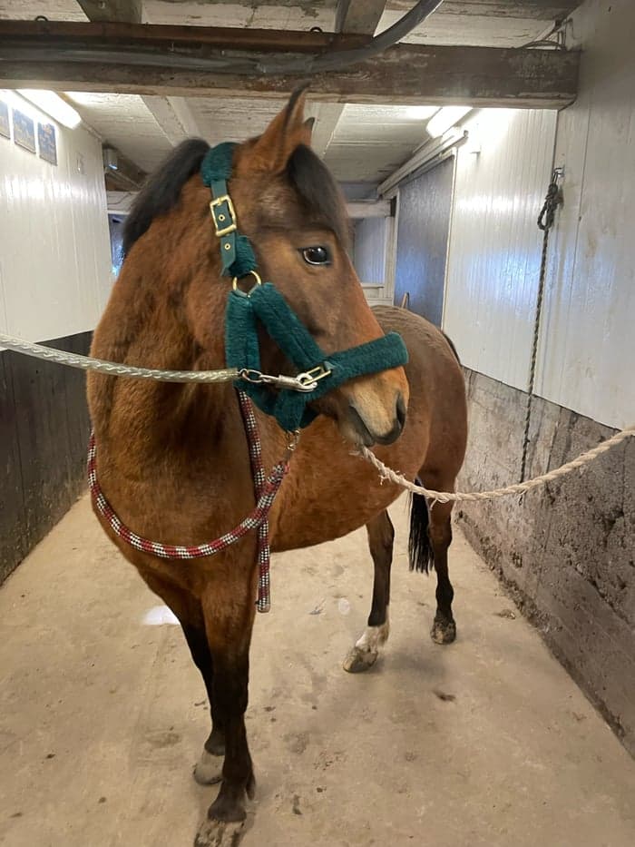 Media 1 av Hot stardust