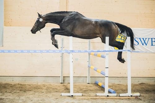 Bild av Häftig 3-åring