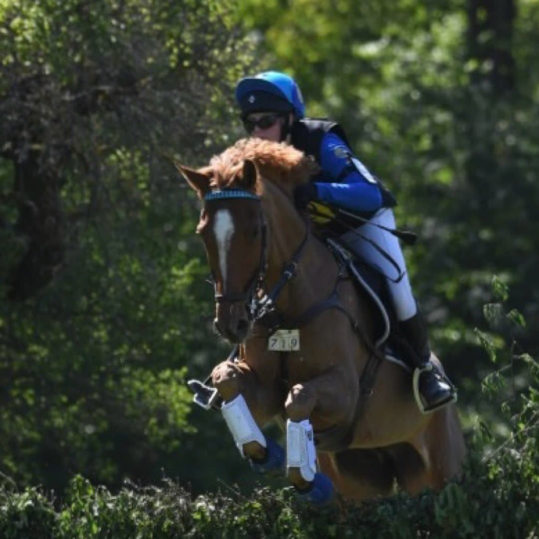 Bild 1 av Bofey Hazina