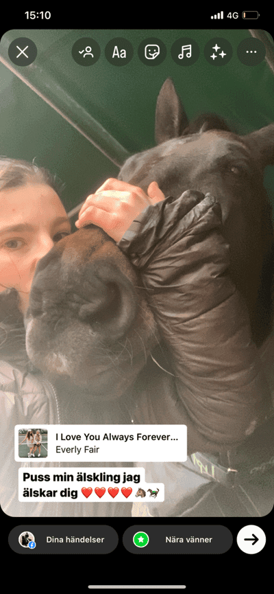 Inlägg 15 av Varmblodig ridhäst