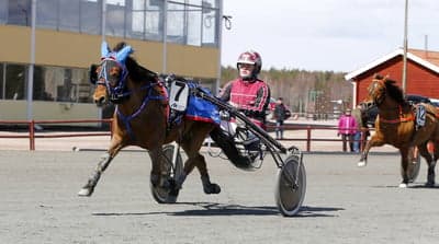 Inlägg 23 av Trav med titeln DPK’s ponnytravgala 2023 🏆