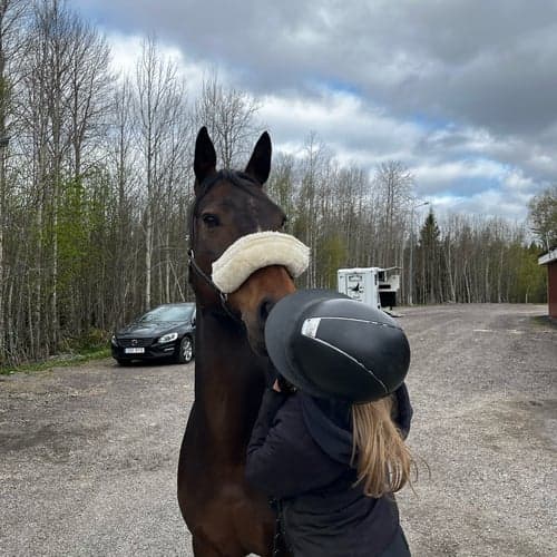 Profilbild av Alice Dahlström