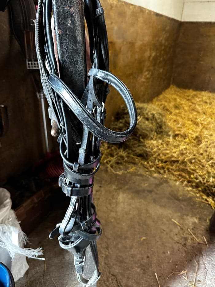 Media 2 of Svart träns