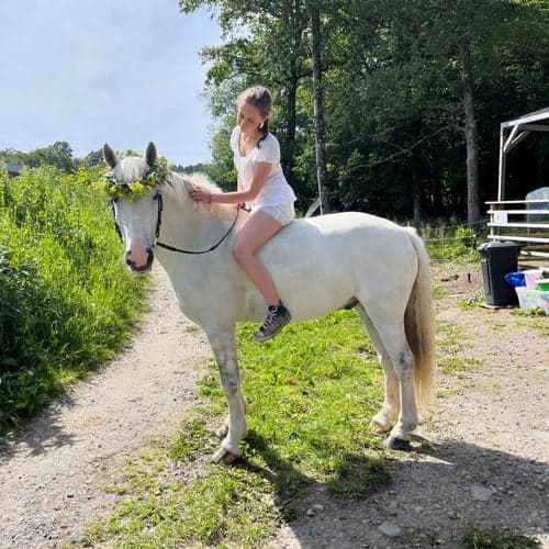 Profilbild av Desiré Åkerström