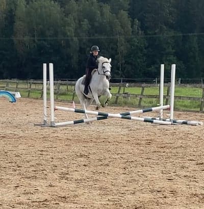 Inlägg 100 av Allround med titeln 🤍Bracken🤍