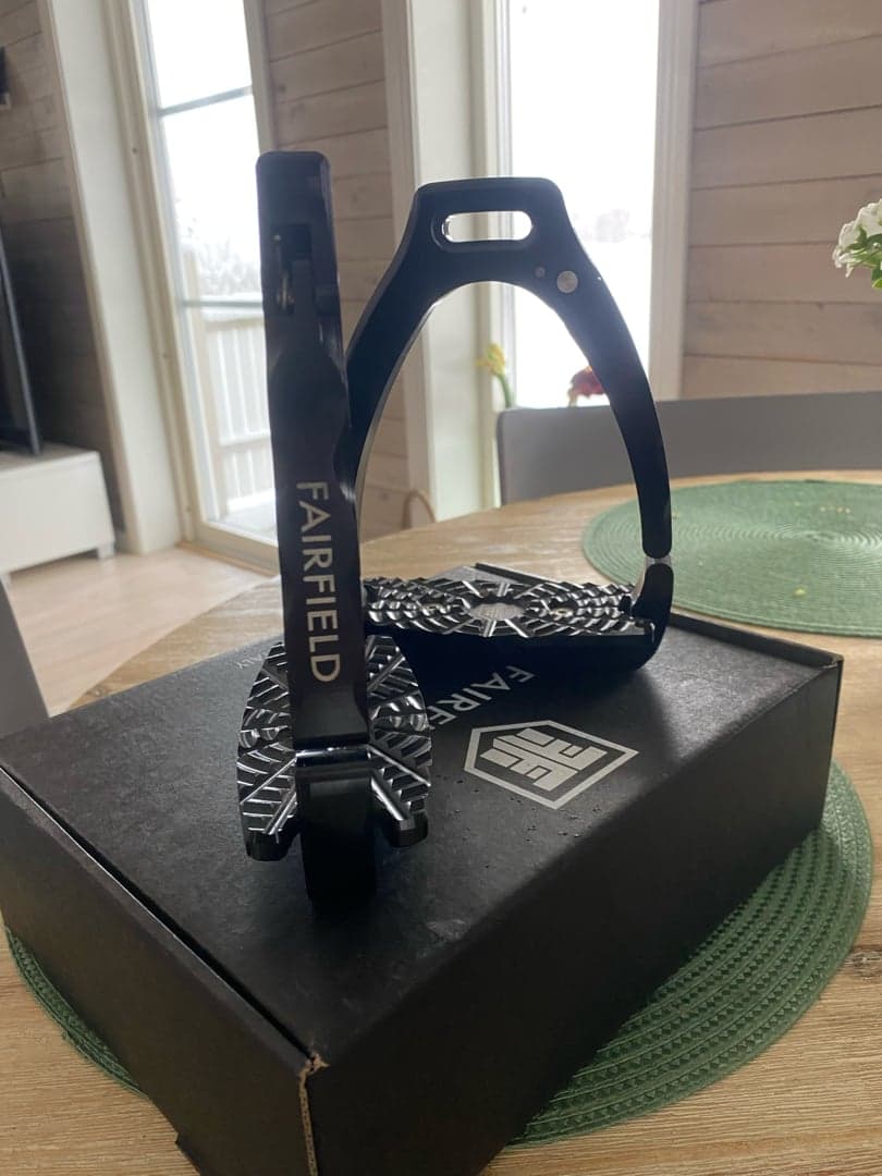 Bild 1 av Svarta stigbyglar från Fairfield