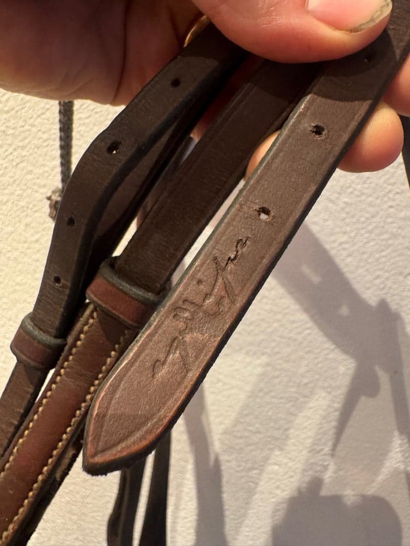 Bild 2 av Ponnyträns från equipe