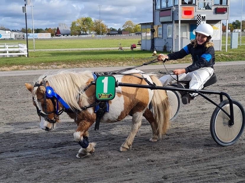 Bild 1 av Stenstugu ronaldo