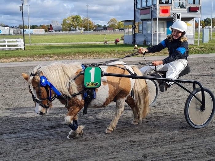 Media 1 av Stenstugu ronaldo