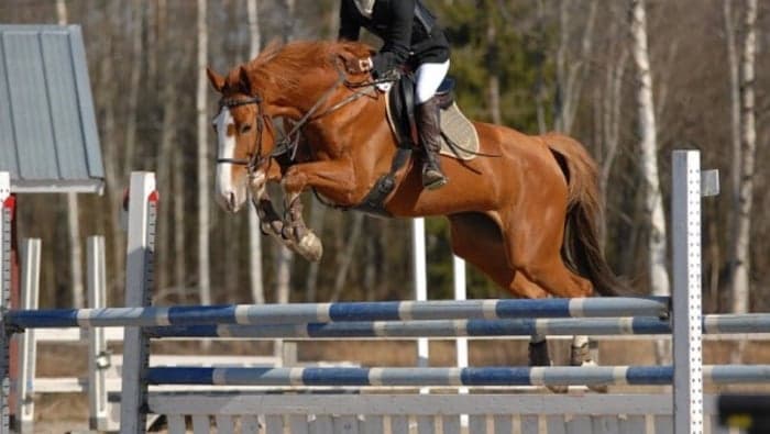 Media 1 av Wodka ll 2758