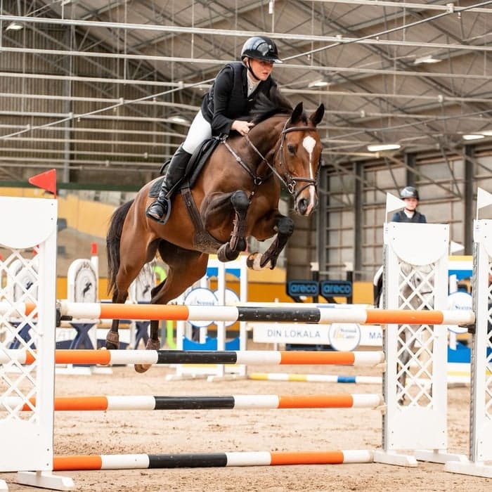 Media 1 av Sternchen K