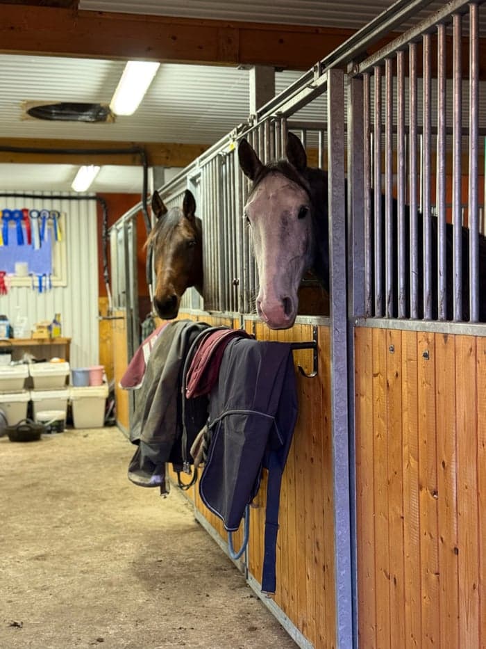 Media 5 of Piri Piri