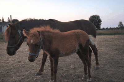 Inlägg 17 av Monté med titeln Porträtt