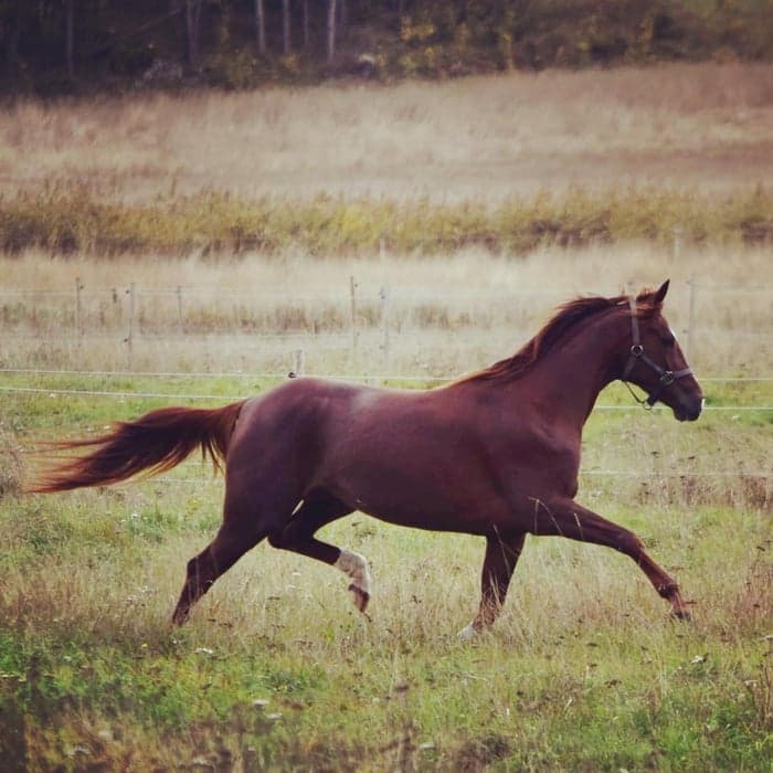 Media 2 av Goodlooking B.T.B