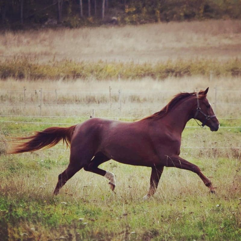 Bild 2 av Goodlooking B.T.B