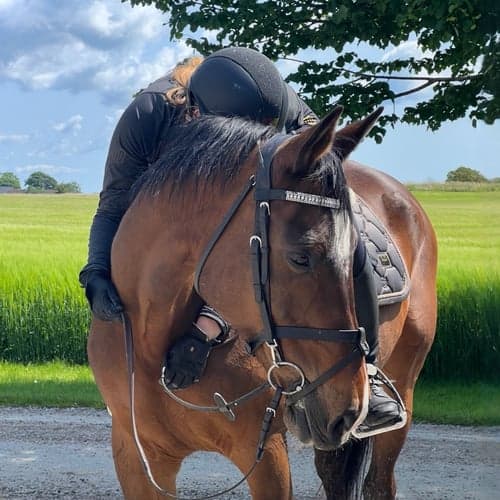 Profilbild av Lovisa Bergqvist