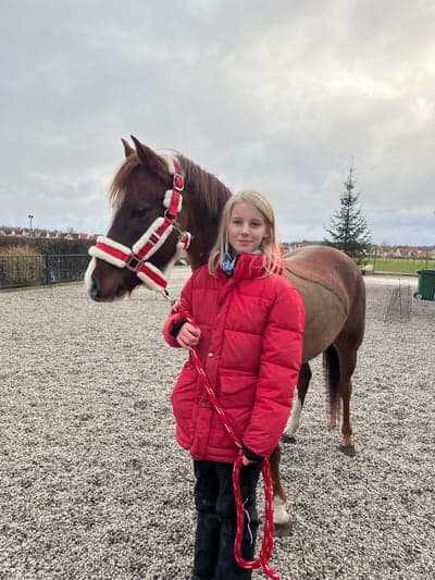 Inlägg 12 av Galopp med titeln God Jul och Gott Nytt År 🥳 