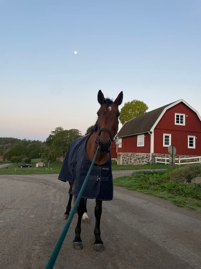 Media 7 av Portemonnaie (Penny)