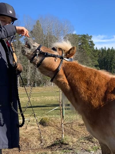 Inlägg 20 av Bruks med titeln Ge mig!