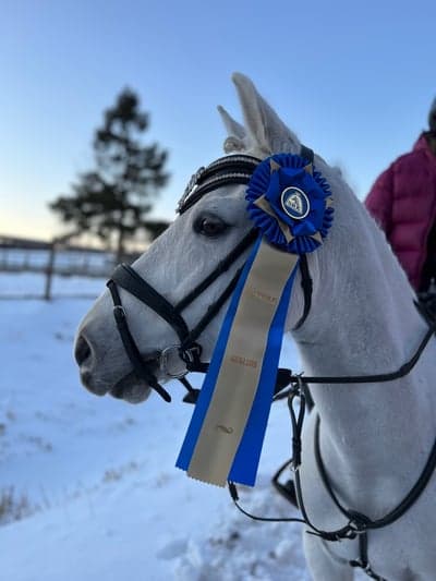 Inlägg 247 av Hoppning med titeln 11/3-23