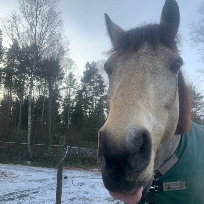 Media 1 av Bränningens starfight