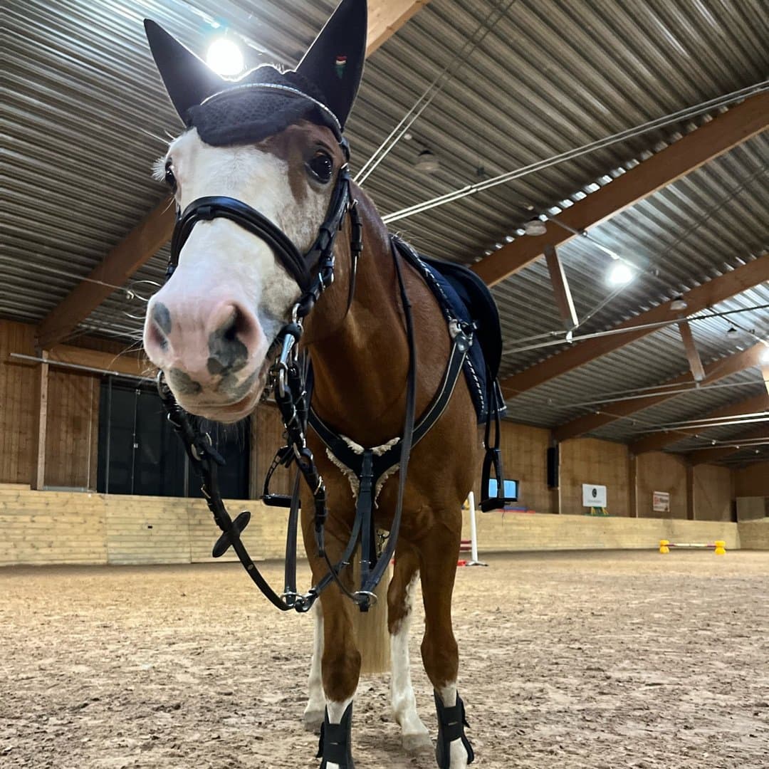 Image 1 of Legends pocahontas "pocky"