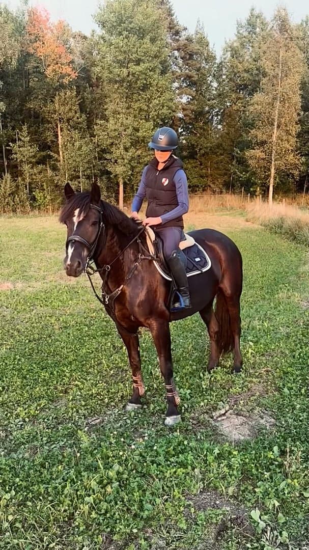 Media 2 av Dynamo Harry