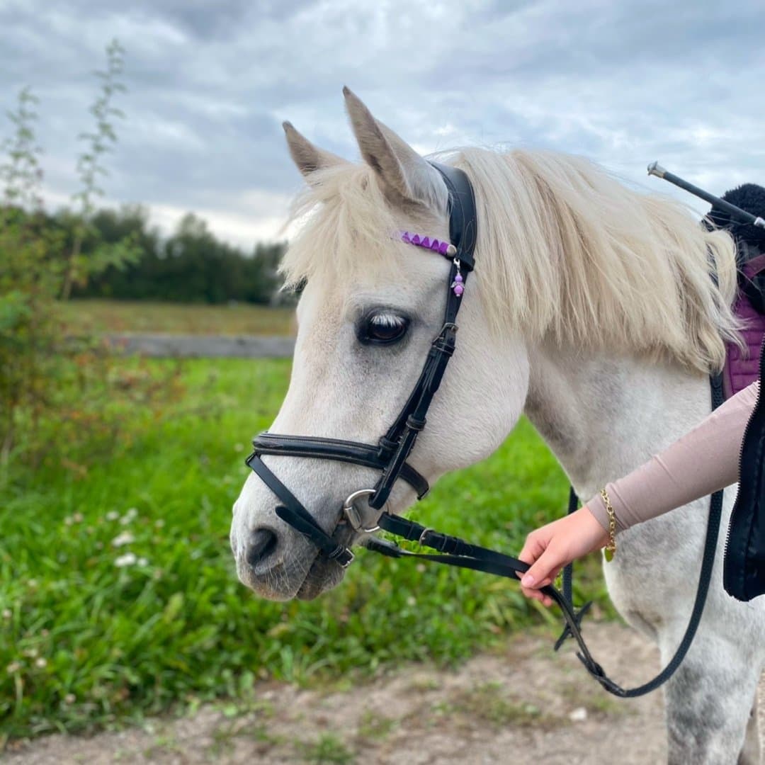 Bild 1 av Sweet Lady