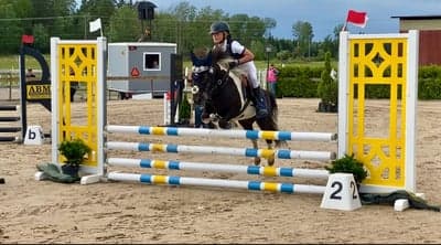 Inlägg 12 av Allround med titeln Hopptävling 