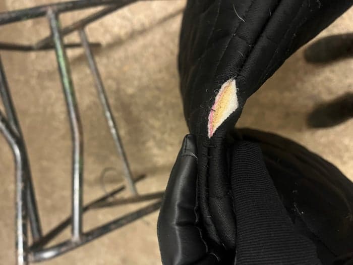 Media 5 of Rosa schabrak