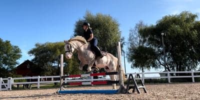 Inlägg 22 av Allround med titeln Lite träning på morgonen när man får vara ensam på banan :)