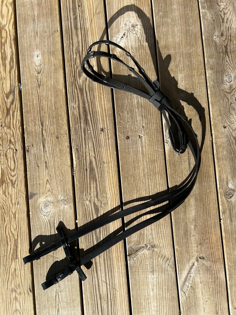 Bild 1 av Ponnytyglar